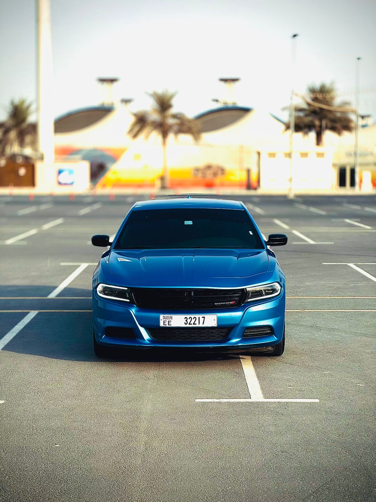 Dodge dodge charger